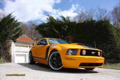 Ford Mustang GT BOSS Wallpaper