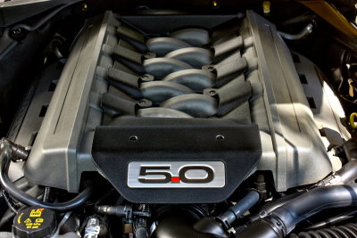 Ford Mustang GT 5.0 V8 Motor