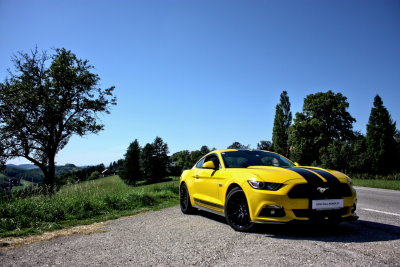 Mustang GT 5.0 in Wien mieten