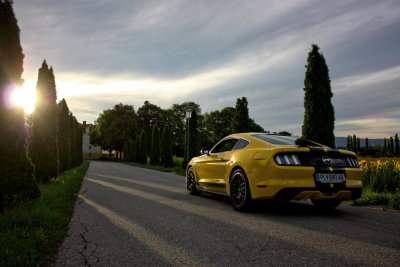 Ford Mustang für Probefahrt mieten