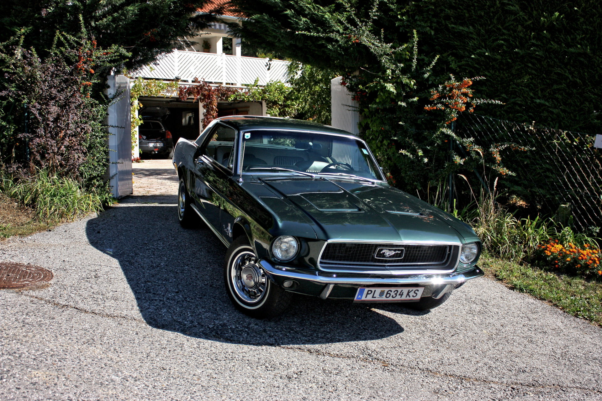 ford mustang bj.68 oldtimer zum geburtstag