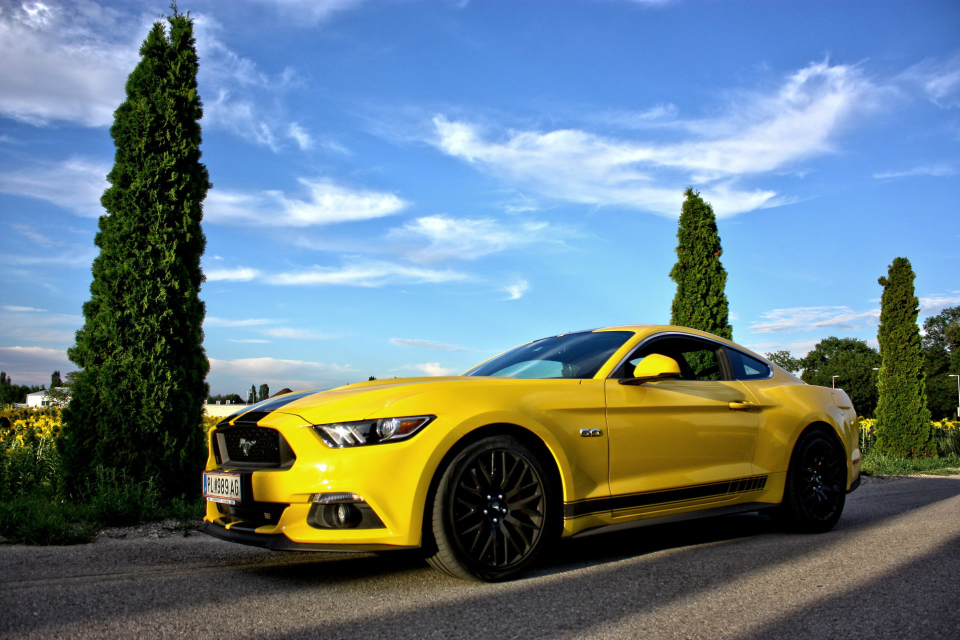 Ford Mustang GT 5.0 in Österreich bei rent-full-power mieten