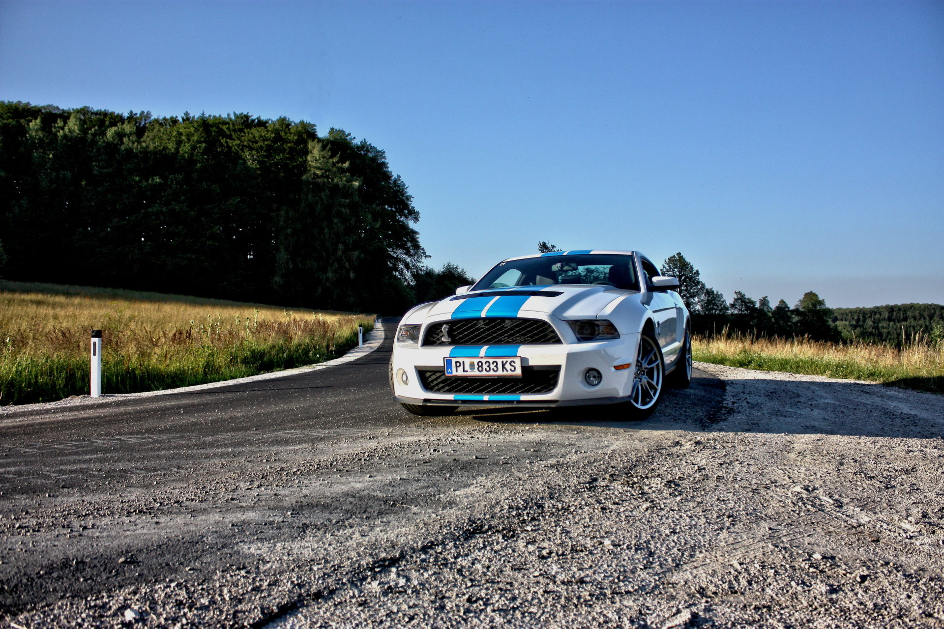 Ford Mustang Shelby GT 500 Clone in der Nähe von Wien mieten