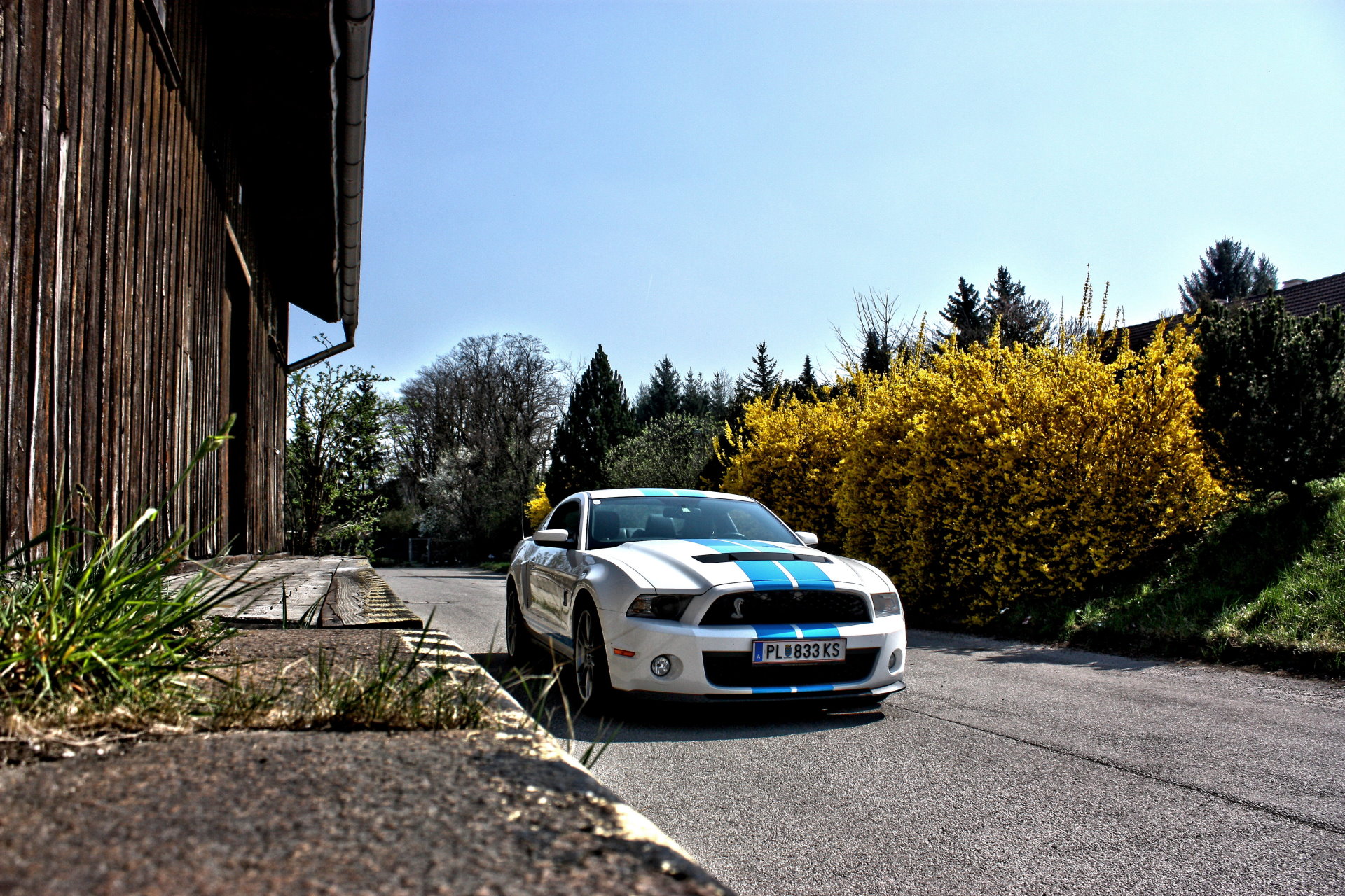 Ford Mustang Shelby GT 500 Clone in der Nähe von Wien fahren