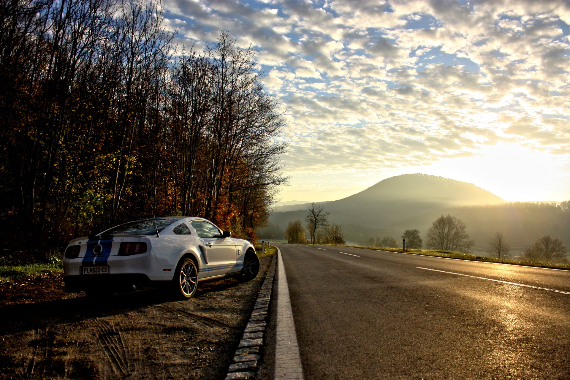 Ford Mustang Shelby GT 500 Free Wallpaper HD Download - Gratis